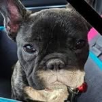 Lonnie Isbell - @riverstyxx00 - Instagram