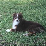 Lonnie Layne - @lonnie.layne - Instagram