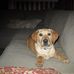 Lonnie Mcclain - Facebook