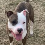 Lonnie Mueller - Facebook