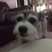 Lonnie Munson - Facebook