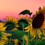 @daelonnieandpeyton_____ - Instagram