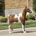 Lonnie Perdue - Facebook