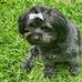 Lanny Pickering - Facebook