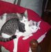 Lonnie Ramey - Facebook