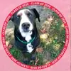 Lonnie Riddle - @lonnie.riddle - TikTok