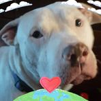 Lonnie Riddle - Facebook