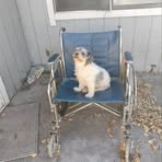 Lonnie Rush - Facebook