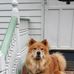 Lonnie Snyder - Facebook