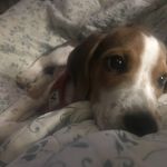Lonnie Teague - @ltmudduck - Instagram