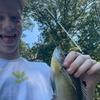 looniegonnie58 - @tysonislonniegonnie - TikTok
