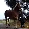 Lonnie Yoder - @lonnie.yoder - TikTok