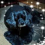 Lonny Jones Sr. - @sr.lonny - Instagram