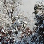 Lora Fulton Armstrong - @lorabelle4 - Instagram