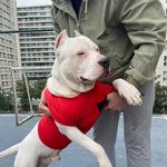 KRAL ARTHUR 🐕 - @lora_arthur_34 - Instagram