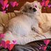 Lora Ayers - Facebook