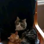 Lora Batson - Facebook