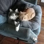 lora batson - @batsonlora - Instagram