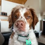 Lori Beck - @lori_beck_3 - Instagram