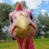 loran biggs - @loran.biggs - TikTok