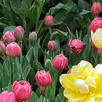Lori Broersma-Biggs - @lori.biggs123 - Instagram