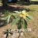 Lora Bowman - Facebook