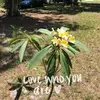 lorabowman155 - @lorabowman155 - TikTok