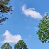 loraboyd07 - @loraboyd07 - TikTok