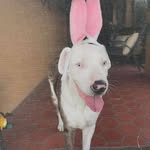 Lori Briggs - @lori.briggs.1396 - Instagram