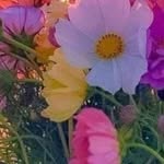 Lori Briggs Noonan - @noonan_lori - Instagram
