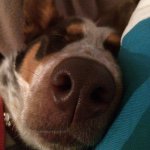 Lora - @lorabutcher - Instagram