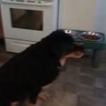 Lori Carlson - @loricarlson5341 - Instagram