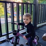 Lora Carroll - @loracarroll37 - Instagram