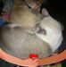 Lora C Coleman - Facebook