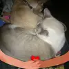 loraccoleman - @lora.c.coleman - TikTok