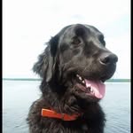 Lori Connolly - @loriconnolly71 - Instagram