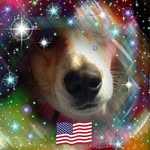 Lori Connolly - @lori.connolly.50 - Instagram