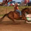 Lori Coyle - @loricoyle - TikTok