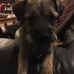 Loraine Dodd - Facebook