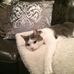 Laura Eckert - Facebook