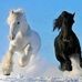 Laura Eckert - Facebook