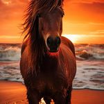 Lori Everett - @lonelyangel103 - Instagram
