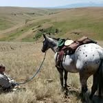 Lori Ewing - @loriewing1 - Instagram