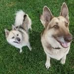 Lori Farley - @lori.farley.733 - Instagram