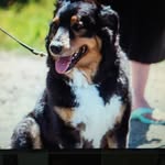 Lori farley - @lorifarley67 - Instagram