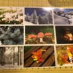 Lori Glover - @swappypostcards - Instagram