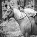 Laura Goble - Facebook