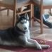 Laura Goble - Facebook