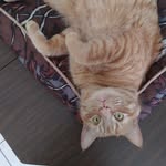 Lori Graves - @lorigraves64 - Instagram