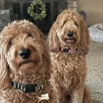 Lori Hahn Kovac - @kovac_lori - Instagram
